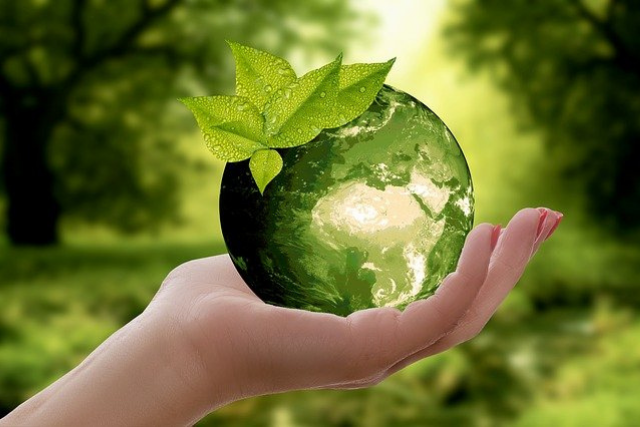 Importance of Recycling 12 Melt Filters